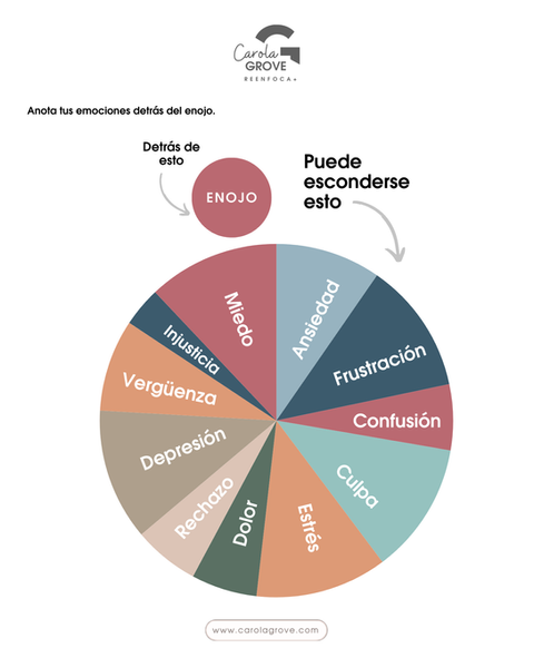 Emociones complejas